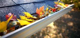 How do you protect your guttering?