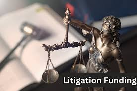 Introduction to Litigation Funding