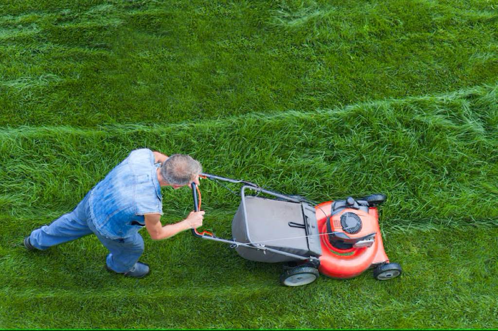 Why Start a Lawn Care Business